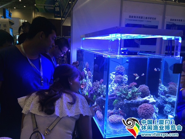 水族区人气旺，观赏鱼、观赏虾都很受欢迎